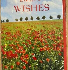 Best Wishes  (Greeting Card)