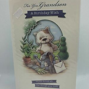 For You Grandson A Birthday Wish  (Birthday Card / Greeting Card)