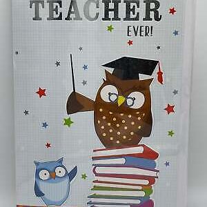 For the Best Teacher ever! (Greeting Card)