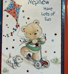 It's Your Birthday, Nephew Have Lots Of Fun  (Birthday Card / Greeting Card)