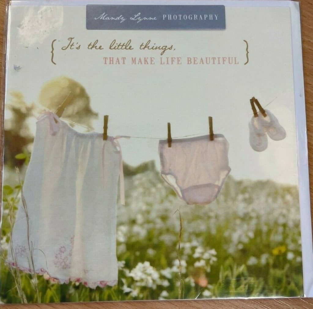 It's The Little Things That Make Life Beautiful - Greeting Card (Blank)