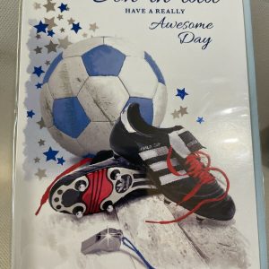 For a Special Son-in-Law Have a really awesome day (Birthday/Greeting Card)