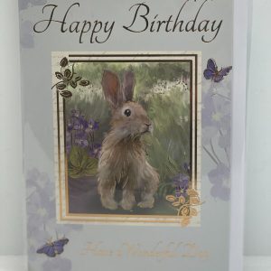 Happy Birthday Have a Wonderful Day (Greeting / Birthday Card)